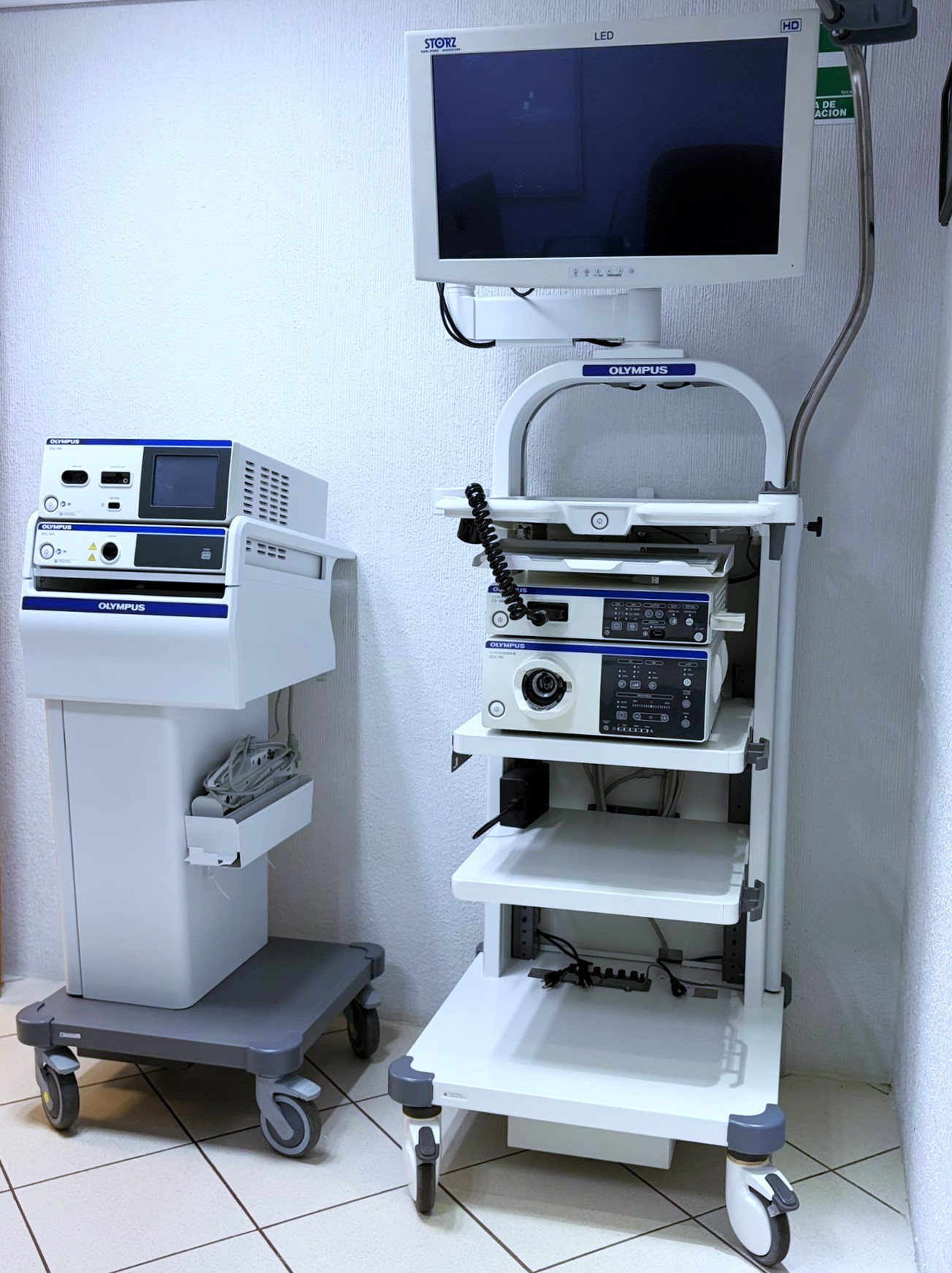 Endoscopía digestiva alta